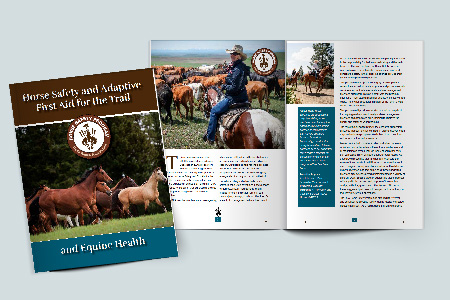 Dude Ranch Foundation Horse Safety Booklet